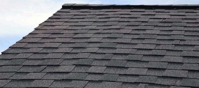 A dark architectural shingle roof